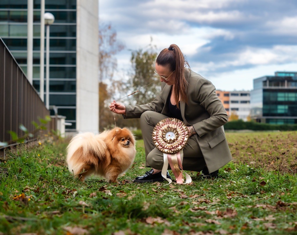 Aristo’Pom - Championne Internationale de Beauté & Championne Suisse des exposition